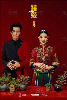 僖缀景天